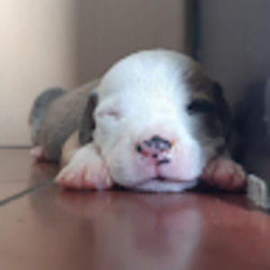 Meet your Posher, Erick